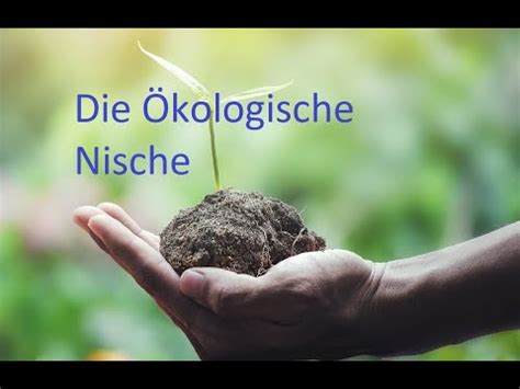 ökologische Nische Ökologie YouTube