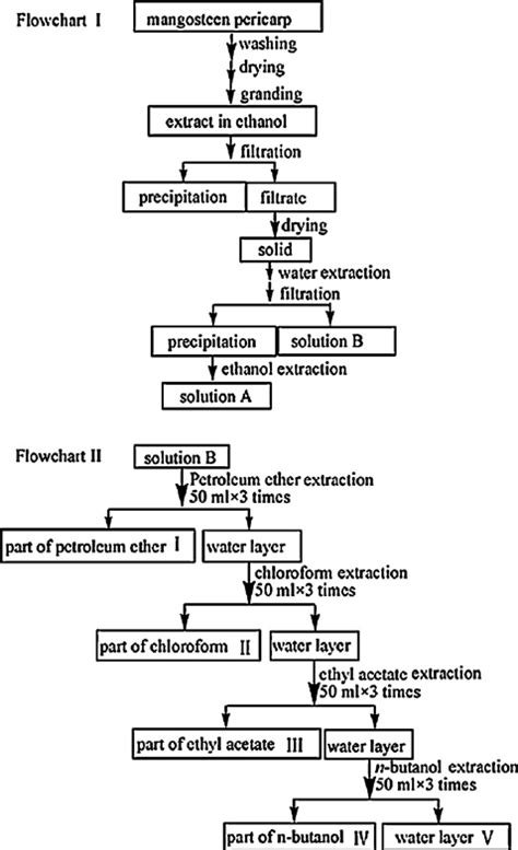 Flow Chart For The Purification Process Of The Extract Obtained From Download Scientific