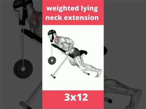 Weighted Lying Neck Extension Exercises Youtube