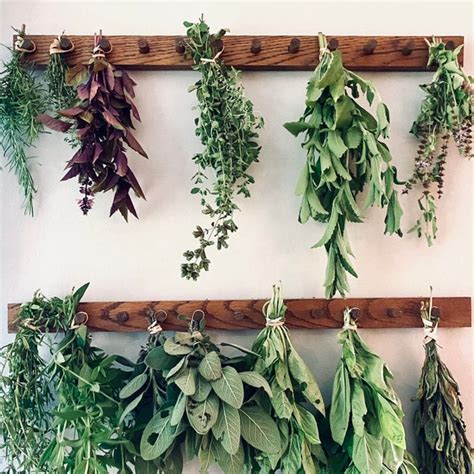 Herb Drying Etsy