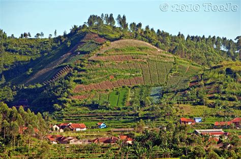 Elevation of Ciwidey, Bandung, West Java, Indonesia - Topographic Map - Altitude Map