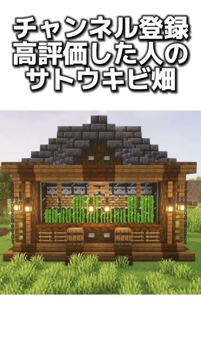 〇〇した人のサトウキビ畑 マイクラ マインクラフトswitch マインクラフトminecraft まいくら スイッチ Youtube