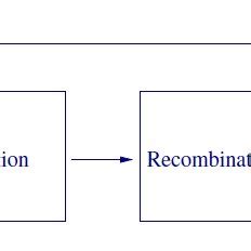 Basic Steps In Differential Evolution Algorithm Mutation A Mutant