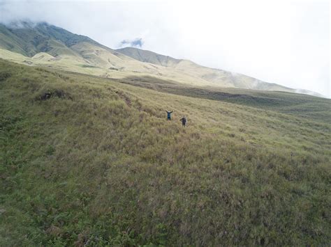 Rute Sembalun Yang Cantik Green Rinjani Lombok