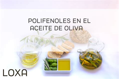 Qué son los polifenoles del aceite de oliva Loxa