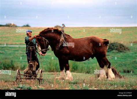 Rene And Thomas Hi Res Stock Photography And Images Alamy