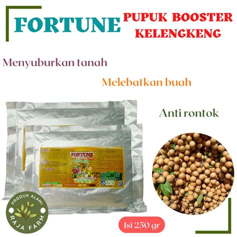 Jual Pupuk Kelengkeng Agar Berbuah Lebat Booster Kelengkeng Perangsang