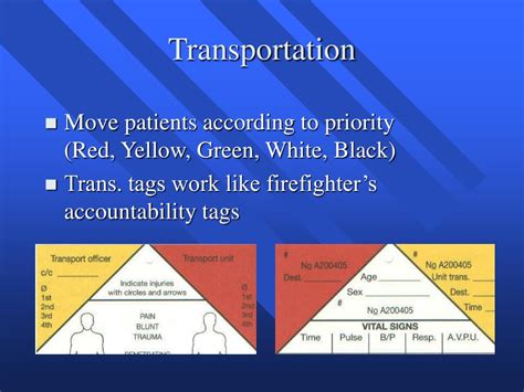 Ppt Mass Casualty Incidents Powerpoint Presentation Free Download Id4869032