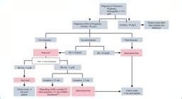 Scielo Brasil Iron Deficiency Anemia In Women Pathophysiological