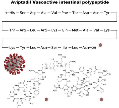 Vip Peptide 2 Lifetein Peptide Blog