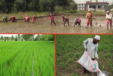 भारत नेपाल सीमा पर दिख रहा है नक्शा विवाद का असर खेती के लिए नहीं मिल