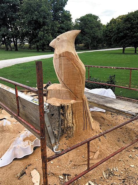 Carving Two Birds” With One Chainsaw 50 Lifestyles