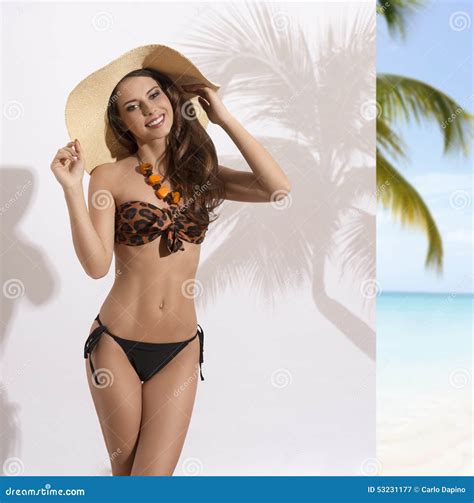 Muchacha Feliz Con El Bikini Imagen De Archivo Imagen De Persona Fresco