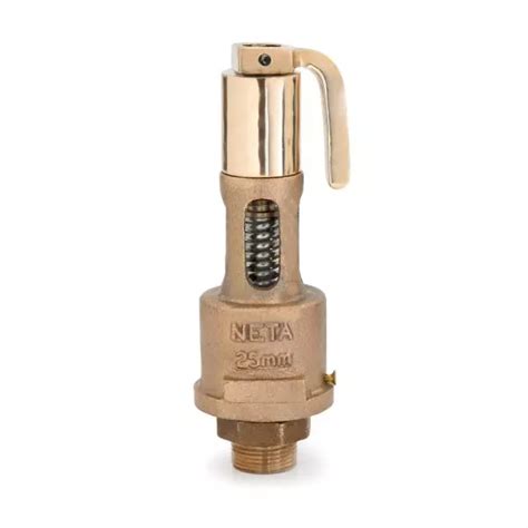 Buy Wj 1 Inch 25 Mm Bronze Spring Loaded Safety Valve 336 Online In