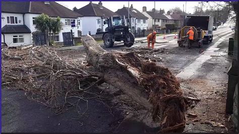 Footage Shows Fallen Tree Blocking Road In Armley As 50mph Wind Hits Leeds Video Dailymotion