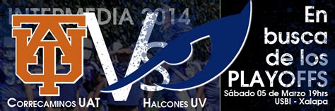 En Busca De Los Playoffs Halcones Uv Football Americano