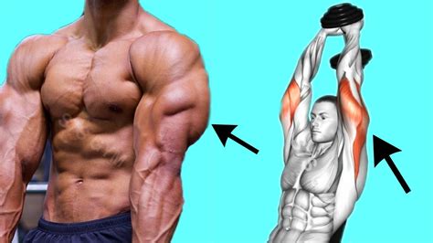 The Best Tricep Exercises And Workouts For Building Bigger Arms Youtube