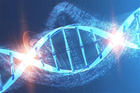 Illuminating Genetic Dark Matter Uncovering Human DNA Repeats