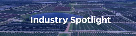 Cherry Lake Tree Farm Groveland Florida Perfect Setup Newsletter Ajax