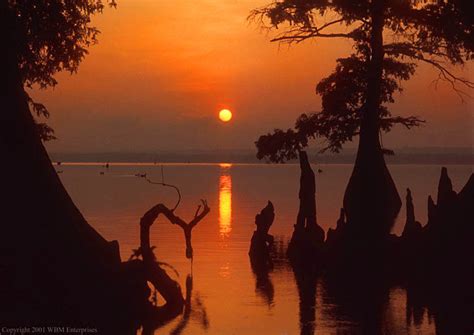 Sunrise At Reelfoot Lake State Park In Western Tennessee