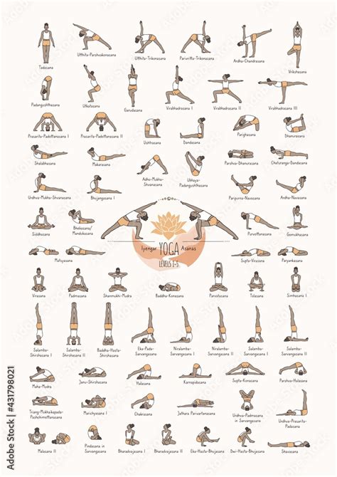 Hand drawn poster of hatha yoga poses and their names, Iyengar yoga asanas difficulty levels 1-5 ...