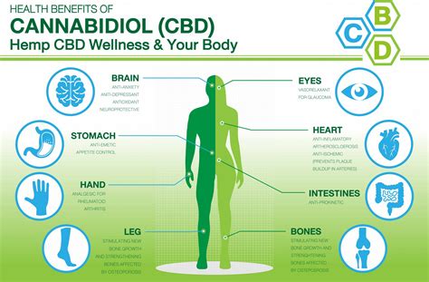 How Cbd Affects The Body Cbd Education Center