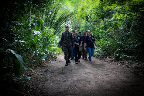 Ambiente De Selva Apresentado Adesg Sp Comando Militar Do Norte