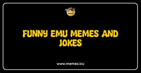 150 Best Funny Emu Memes And Jokes That Will Make You Squawk With
