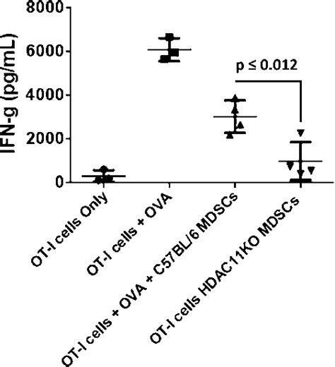 Suppressive Capacity Of Isolated Mdscs From Tumor Challenged C Bl Wt