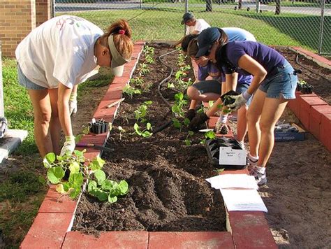 Marvins Organic Gardens