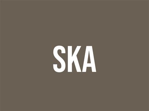 What Does Ska Mean? - Meaning, Uses and More - FluentSlang