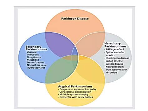 Progressive Supranuclear Palsy And Multiple System Atrophy Ppt