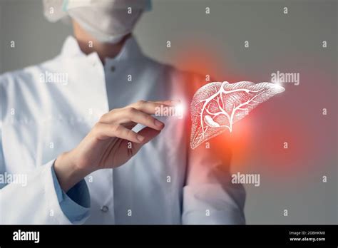 Female Doctor Touches Virtual Liver In Hand Blurred Photo Handrawn