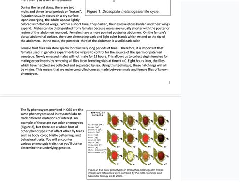 Solved During the larval stage, there are two molts and | Chegg.com 