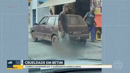 Idoso Suspeito De Arrastar Cadela Amarrada Em Carro Na Grande Bh