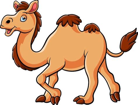 Premium Vector Cartoon Camel Isolated On White Background