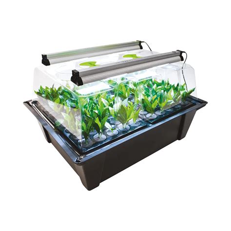 X Stream Aeroponic Propagator With Led Strip Lights Indoor Growstore