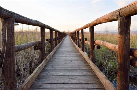 Images Gratuites La Nature Promenade Piste Pont Passerelle