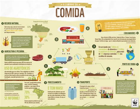 Guia Visual Sobre O Desperdício De Alimentos Geografia Visual