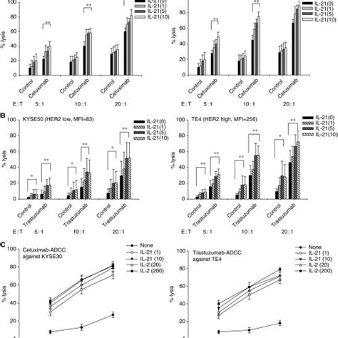 Trastuzumab And Cetuximab Mediated Antibody Dependent Cell Mediated