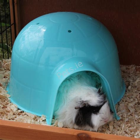 Guinea Pig Hide Out | Pets.ie | Ireland