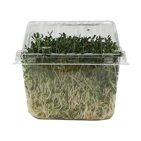 Alfalfa Sprouts At Whole Foods Market