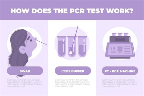 Free Vector How Pcr Test Works