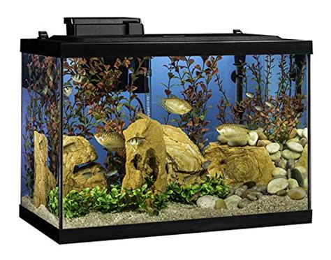 Best Gallon Fish Tank And Aquarium Kits Reveiws Guide