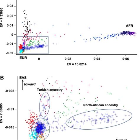 Haplotype Block Analysis Of The Pah Gene Using Whole Genome Sequencing Download Scientific