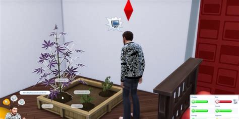 All You Should Know About Sims 4 Drug Mod Gazettely