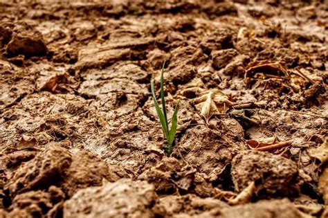 Baden Württemberg schreibt Strategie zur Anpassung an den Klimawandel fort