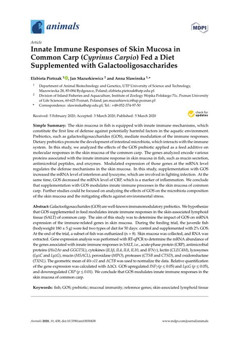 Pdf Innate Immune Responses Of Skin Mucosa In Common Carp Cyprinus