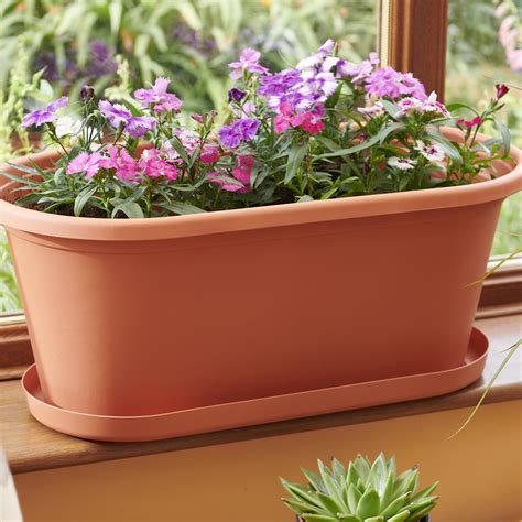 Clever Pots Terracotta Plastic Cm Trough Tray Cm Trough Wilko