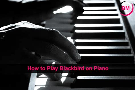 How To Play Blackbird On Piano 5 Simple Steps